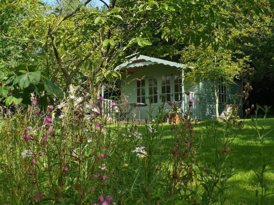 Red Squirrel Holiday Home In The Countryside, 10 Mins To Lligwy Beach Llandyfrydog Exterior photo